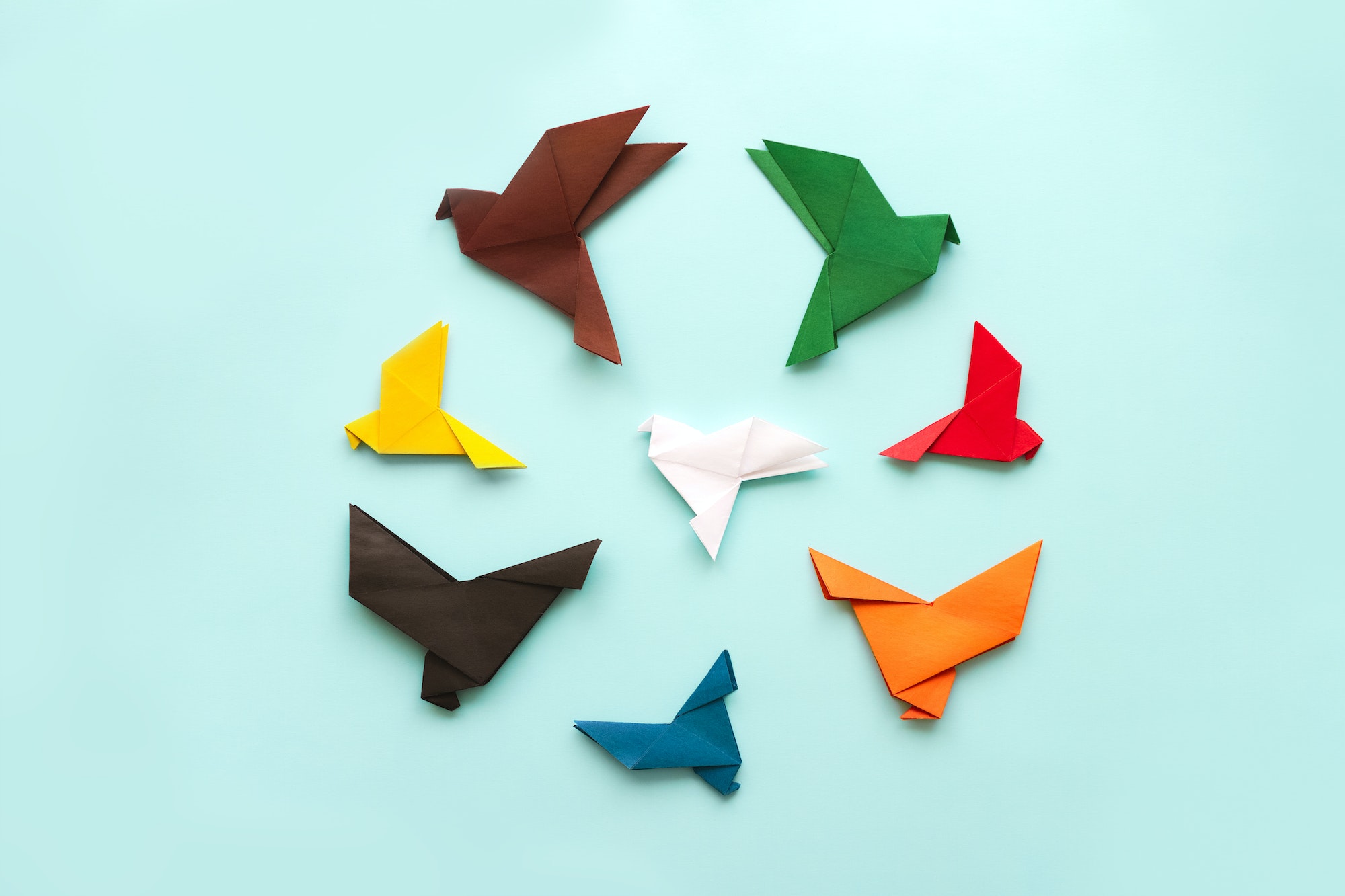 seven origami pigeons different colors in circle fly away from white bird on light blue background